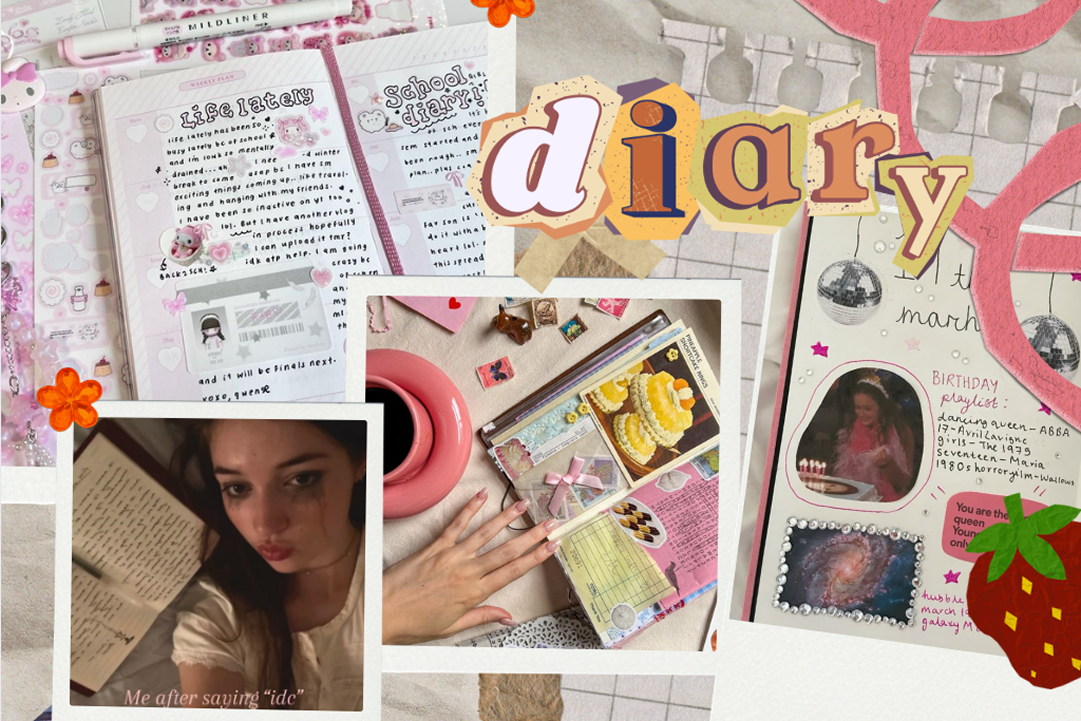 Who Let Me Have a Diary?